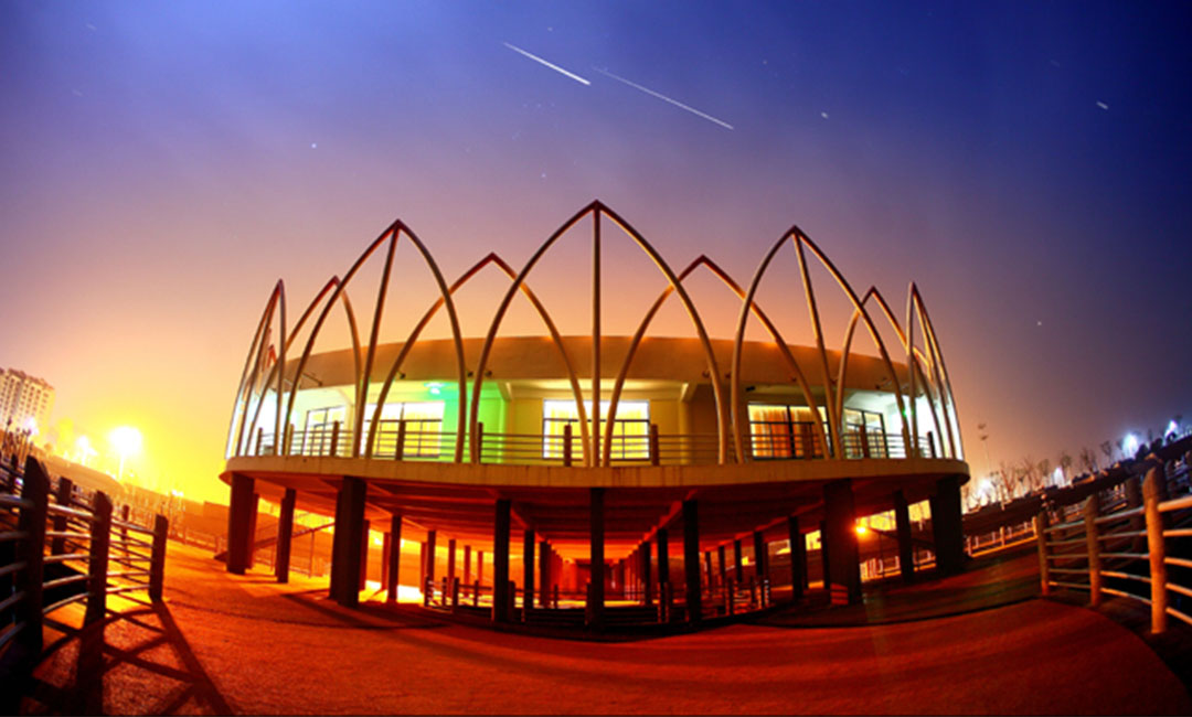 泰州莲花广场活动策划案例